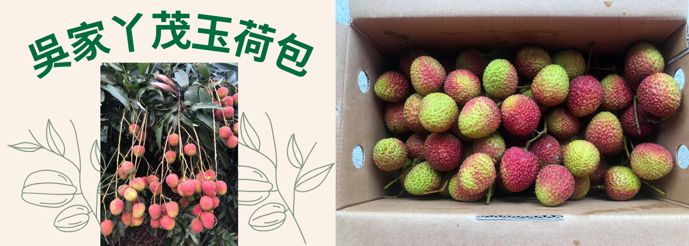 玉荷包荔枝,玉荷包,荔枝#玉荷包荔枝,玉荷包,荔枝